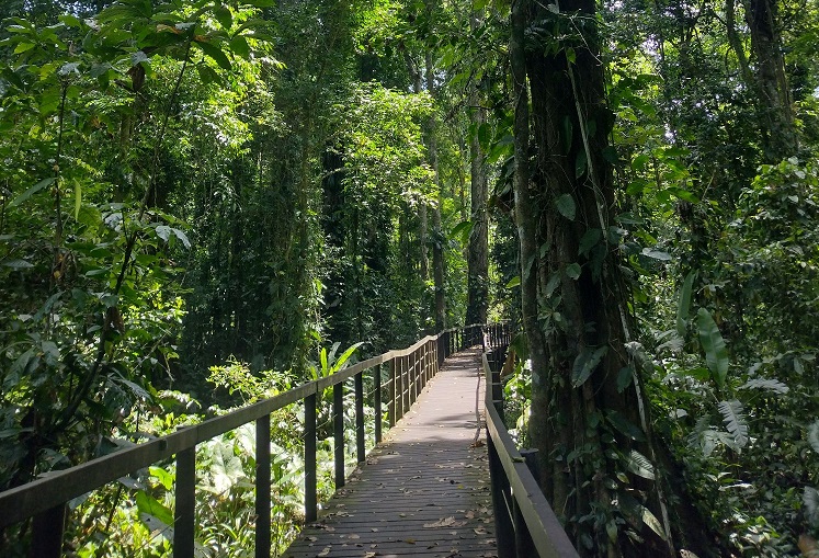 Cahuita Nationalpark